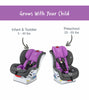Britax Marathon Clicktight Convertible Car Seat - Mod Purple (SafeWash)