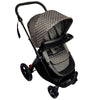 Mt. Buggy Cosmopolitan Food Tray