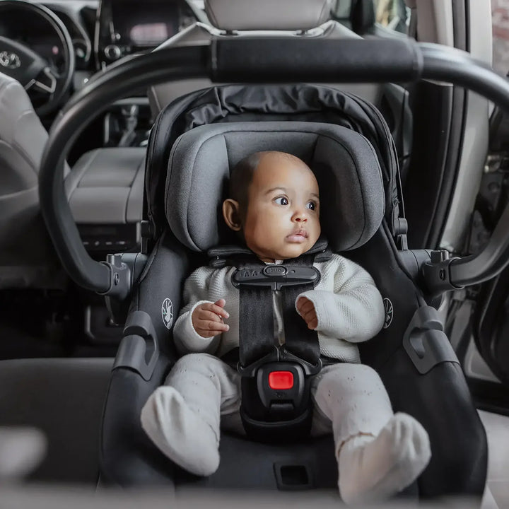 UPPAbaby Cruz V3 + Aria V2 Travel System in Callum - image 17
