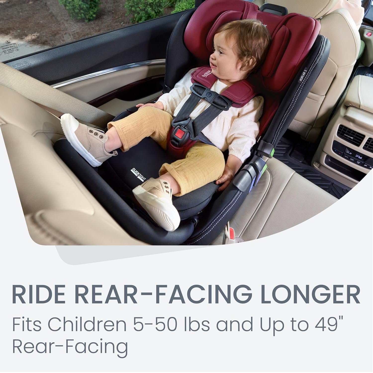 coleman v britax Britax Poplar S Convertible Car Seat