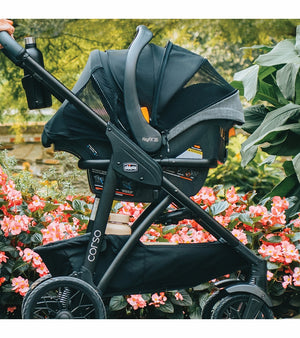 Chicco Corso Primo ClearTex Travel System - Aspen