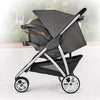 Chicco Viaro Travel System - Apex