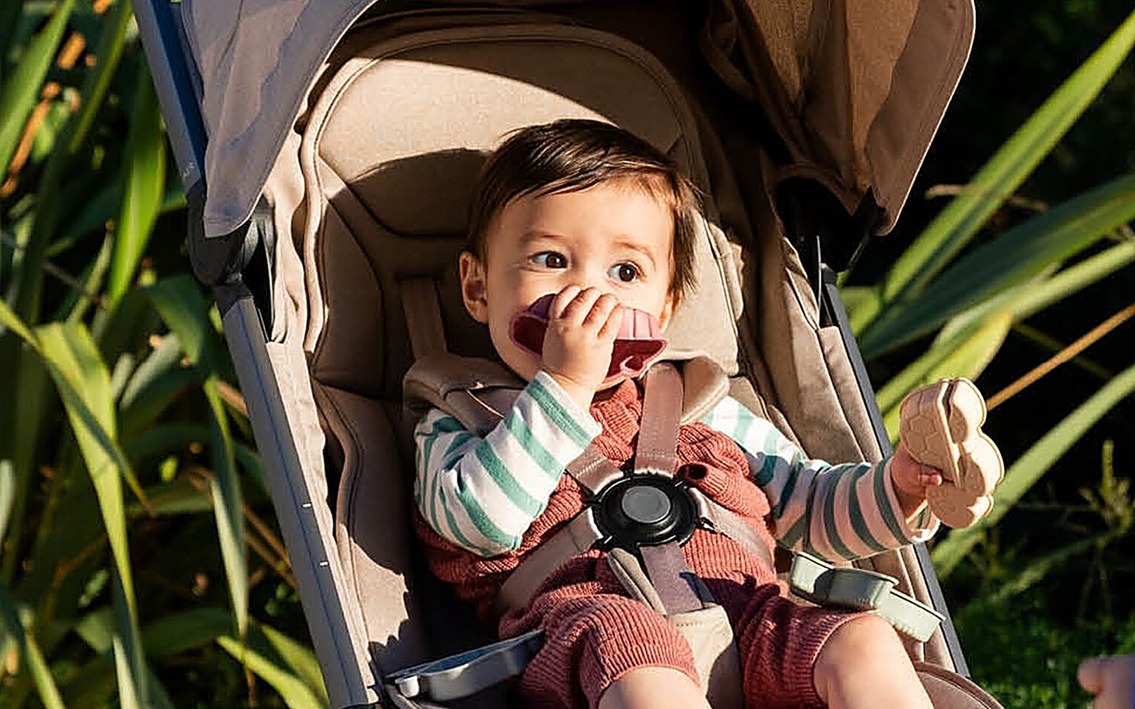Child riding in a stroller